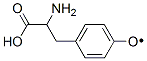 4-(2-Amino-2-carboxyethyl)phenoxyradical Struktur