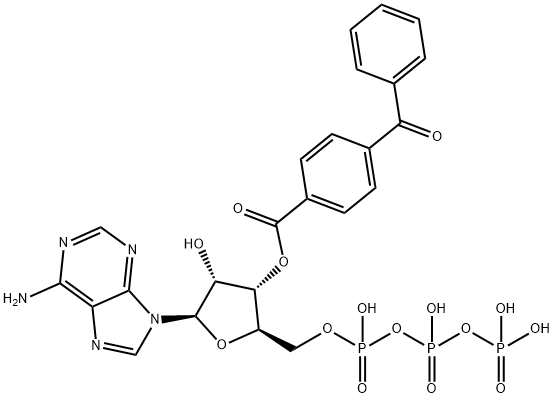 3'-O-(4-benzoyl)benzoyladenosine 5'-triphosphate Struktur