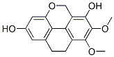 Coelogin Struktur