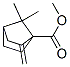 Bicyclo[2.2.1]heptane-1-carboxylic acid, 7,7-dimethyl-2-methylene-, methyl ester (9CI) Struktur