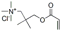 2,2-dimethyl-3-[(1-oxoallyl)oxy]propyltrimethylammonium chloride Struktur