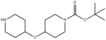 4-(Piperidin-4-yloxy)-piperidine-1-carboxylic acid tert-butyl ester Struktur