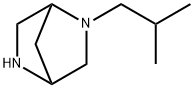 (1S,4S)-(+)-2-ISOBUTYL-2,5-DIAZA-BICYCLO[2.2.1]HEPTANE DIHYDROCHLORIDE Struktur