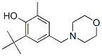 6-tert-butyl-4-(morpholinomethyl)-o-cresol Struktur