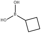 CYCLOBUTYLBORONIC ACID