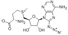 8-Aasm Struktur