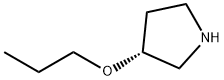 (R)-3-PROPOXY-PYRROLIDINE Struktur