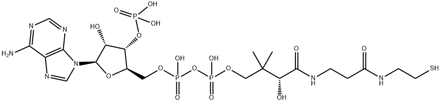 アデノシン3'-りん酸5'-[二りん酸P2-[(R)-3-ヒドロキシ-2,2-ジメチル-3-[[2-[(2-メルカプトエチル)カルバモイル]エチル]カルバモイル]プロピル]] price.