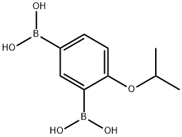 4-ISOPROPOXY-1,3-PHENYLENEBISBORONIC ACID Struktur