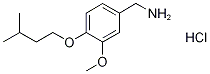 [3-Methoxy-4-(3-methylbutoxy)benzyl]aminehydrochloride Struktur