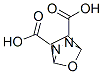 7-Oxa-2,3-diazabicyclo[2.2.1]heptane-2,3-dicarboxylic  acid Struktur