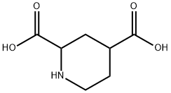 2,4-piperidinedicarboxylic acid Struktur