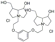 DIPLACINE Struktur