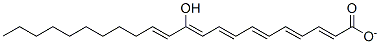 11-Hydroxydocosahexaenoate Struktur