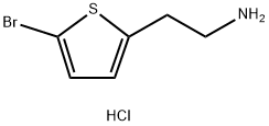 2-THIOPHENEETHANAMINE, 5-BROMO-, HYDROCHLORIDE|2-(5-溴-2-噻吩)乙胺鹽酸鹽