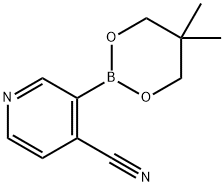 4-Cyanopyridine-3-boronic acid neopentyl glycol ester Struktur