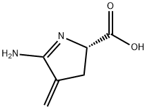 2H-Pyrrole-2-carboxylic  acid,  5-amino-3,4-dihydro-4-methylene-,  (2S)- Struktur