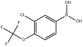 3-CHLORO-4-(TRIFLUOROMETHOXY)PHENYLBORONIC ACID Struktur