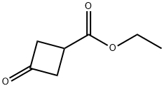 ETHYL 3-OXO CYCLOBUATNE CARBOXYLATE Struktur