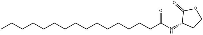 N-hexadecanoyl-L-Homoserine lactone Struktur