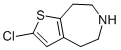 2-CHLORO-5,6,7,8-TETRAHYDRO-4H-THIENO[2,3-D]AZEPINE Struktur