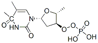 O(4)-methylthymidine monophosphate Struktur