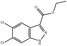 ETHYL 5,6-DICHLORO-1H-INDAZOLE-3-CARBOXYLATE Struktur