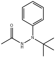 N'-TERT-BUTYL-N'-PHENYLACETOHYDRAZIDE Struktur