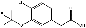 4-CHLORO-3-(TRIFLUOROMETHOXY)PHENYLACETIC ACID