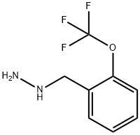 2-TRIFLUOROMETHOXY-BENZYL-HYDRAZINE Struktur