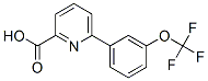 6-(3-Trifluoromethoxyphenyl)-picolinic acid Struktur