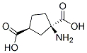 (1R,3S)-ACPD