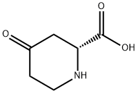 (R)-4-oxopiperidine-2-carboxylic acid Struktur