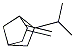 Bicyclo[2.2.1]heptane, 2-methylene-6-(1-methylethyl)-, exo- (9CI) Struktur