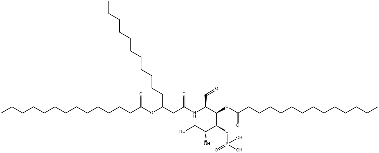 GLA 27 Struktur