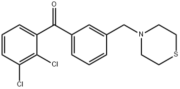 2,3-DICHLORO-3'-THIOMORPHOLINOMETHYL BENZOPHENONE Struktur