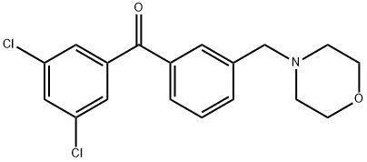 3,5-DICHLORO-3'-MORPHOLINOMETHYL BENZOPHENONE Struktur