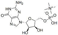 tetramethylammonium guanosine 5'-monophosphate Struktur