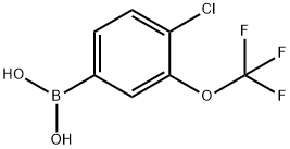 BORONIC ACID, [4-CHLORO-3-(TRIFLUOROMETHOXY)PHENYL]-|[4-氯-3-(三氟甲氧基)苯基]硼酸