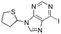 6-iodo-9-(thiolan-2-yl)purine Struktur