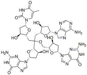 deoxyadenylyl-thymidylyl-deoxyguanylyl-deoxyguanosine Struktur