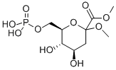 Methyl(methyl3-deoxy-D-arabino-hept-2-ulopyranosid)onate-7-phosphate Struktur