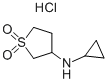 Cyclopropyl-(1,1-dioxo-tetrahydrothiophen-3-yl)-amine hydrochloride Struktur