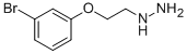 [2-(3-bromophenoxy)ethyl]hydrazine Struktur