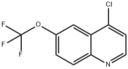 4-CHLORO-6-TRIFLUOROMETHOXYQUINOLINE Struktur