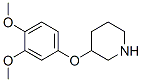 3-(3,4-DIMETHOXYPHENOXY)-PIPERIDINE Struktur