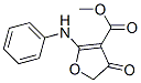 3-Furancarboxylic  acid,  4,5-dihydro-4-oxo-2-(phenylamino)-,  methyl  ester Struktur