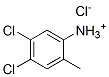 4,5-dichloro-2-methylanilinium chloride Struktur