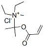 diethylmethyl[1-methyl-1-[(1-oxoallyl)oxy]ethyl]ammonium chloride Struktur