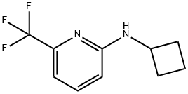 Cyclobutyl-(6-trifluoromethyl-pyridin-2-yl)-amine Struktur